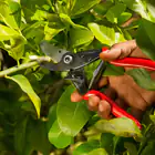 Felco 5 Pruning Shears with Free Size 9 Gloves - Felco 5 Pruning Shears with Free Size 9 Gloves